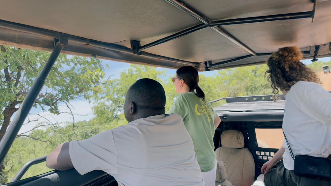 Wildlife encounter on game drive