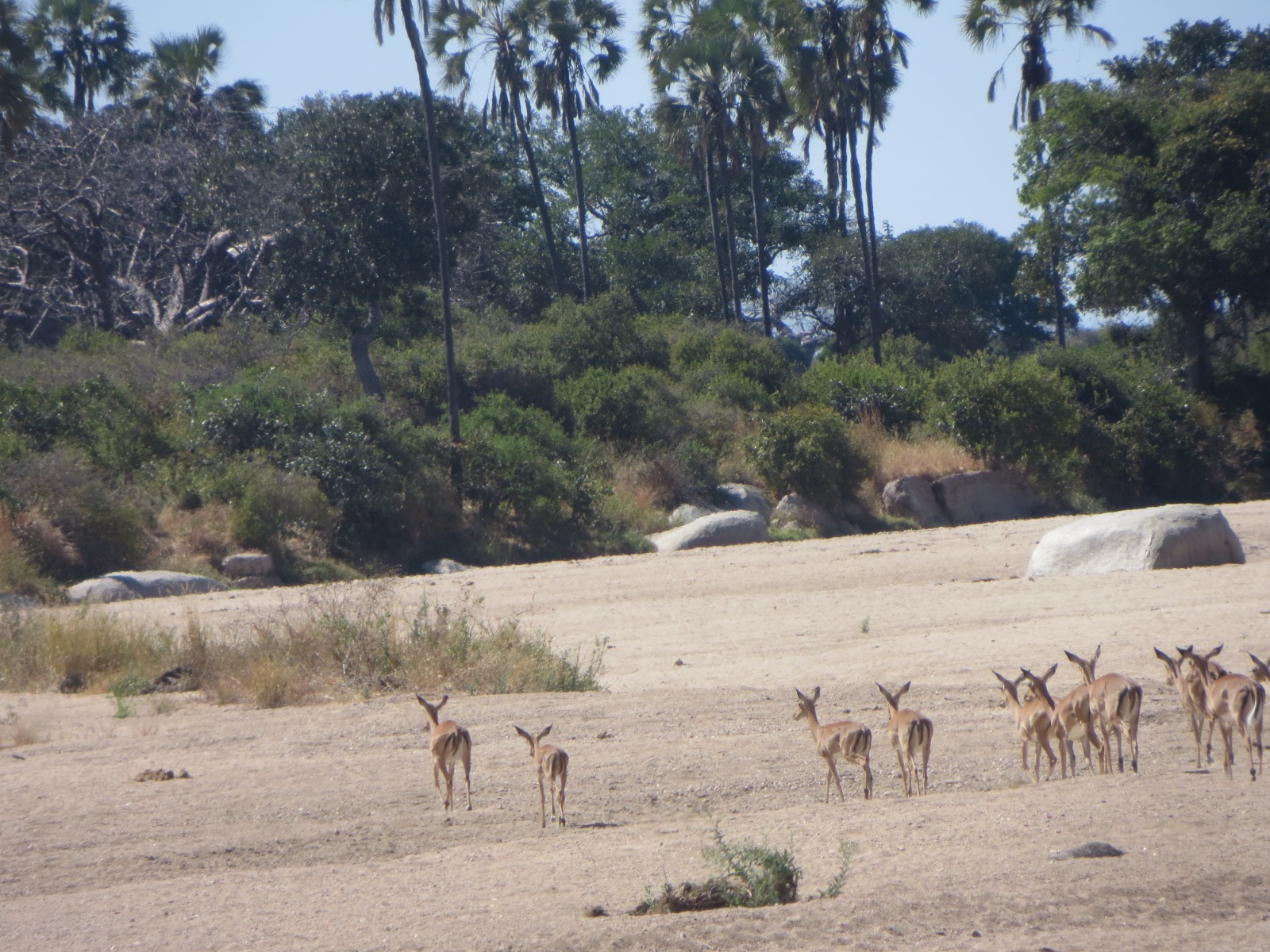 Safari and Bush Retreats team moment