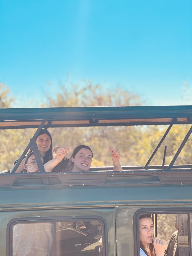 Life on safari — guests on game drive