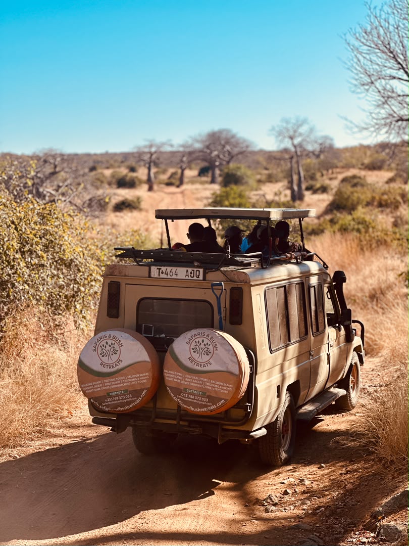 Life on safari — guide and landscape