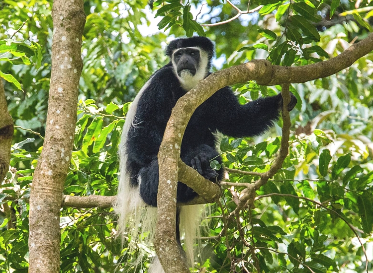 Arusha National Park landscape