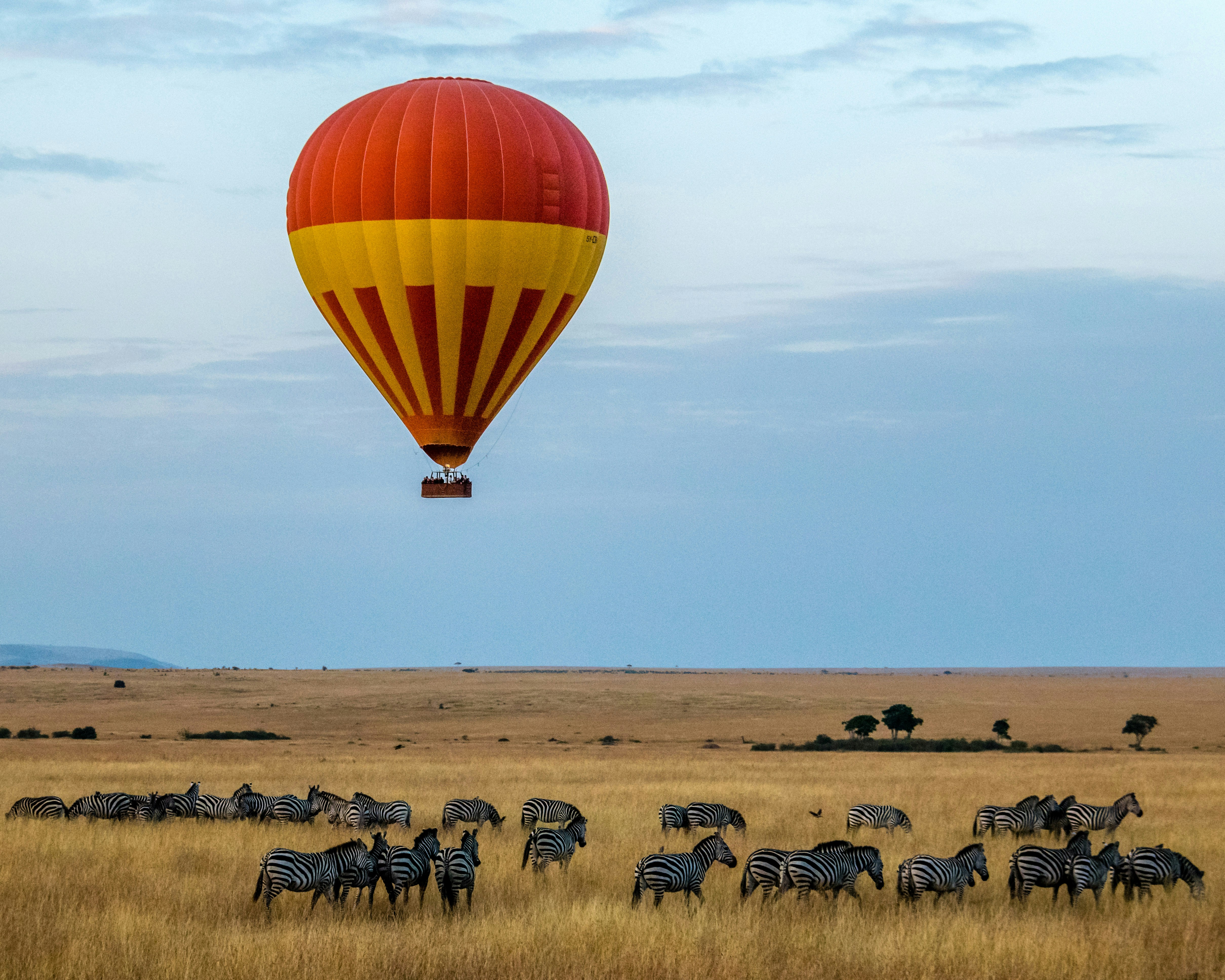 Hot air balloons at sunrise over Serengeti