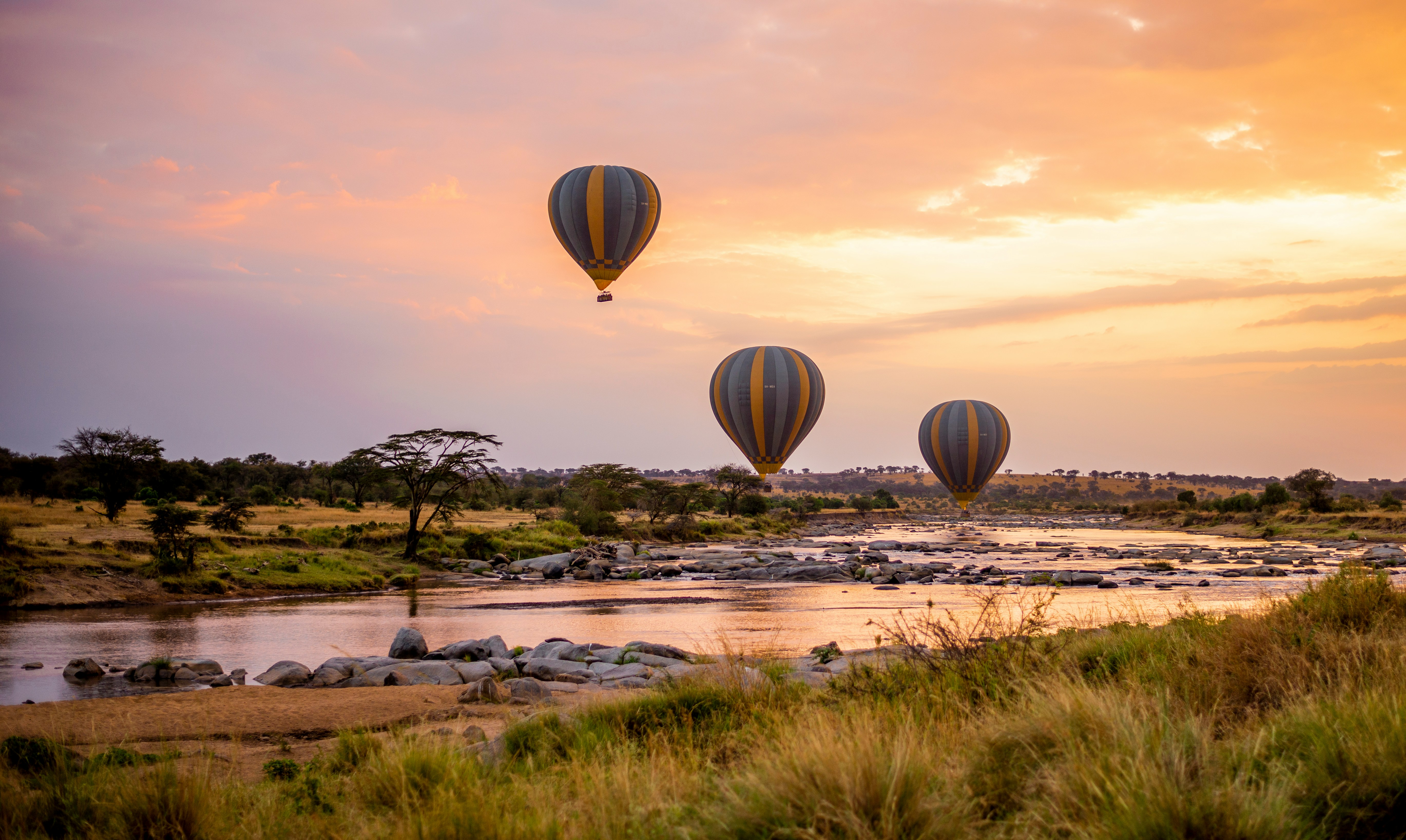 Luxury safari tents at golden hour
