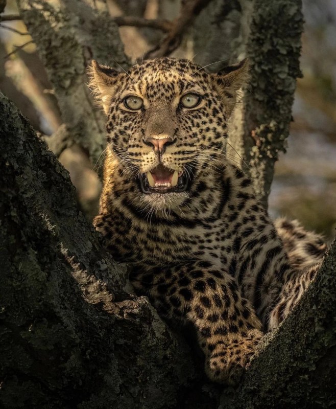 Lake Nakuru National Park