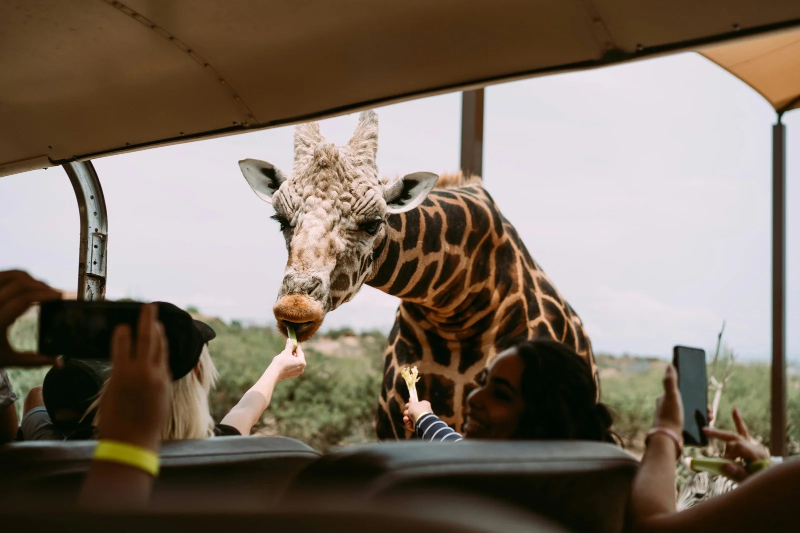 Samburu National Reserve landscape