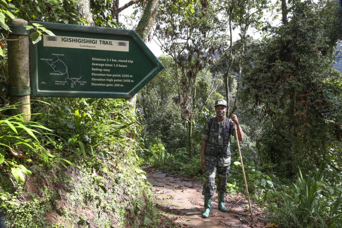 Nyungwe National Park landscape
