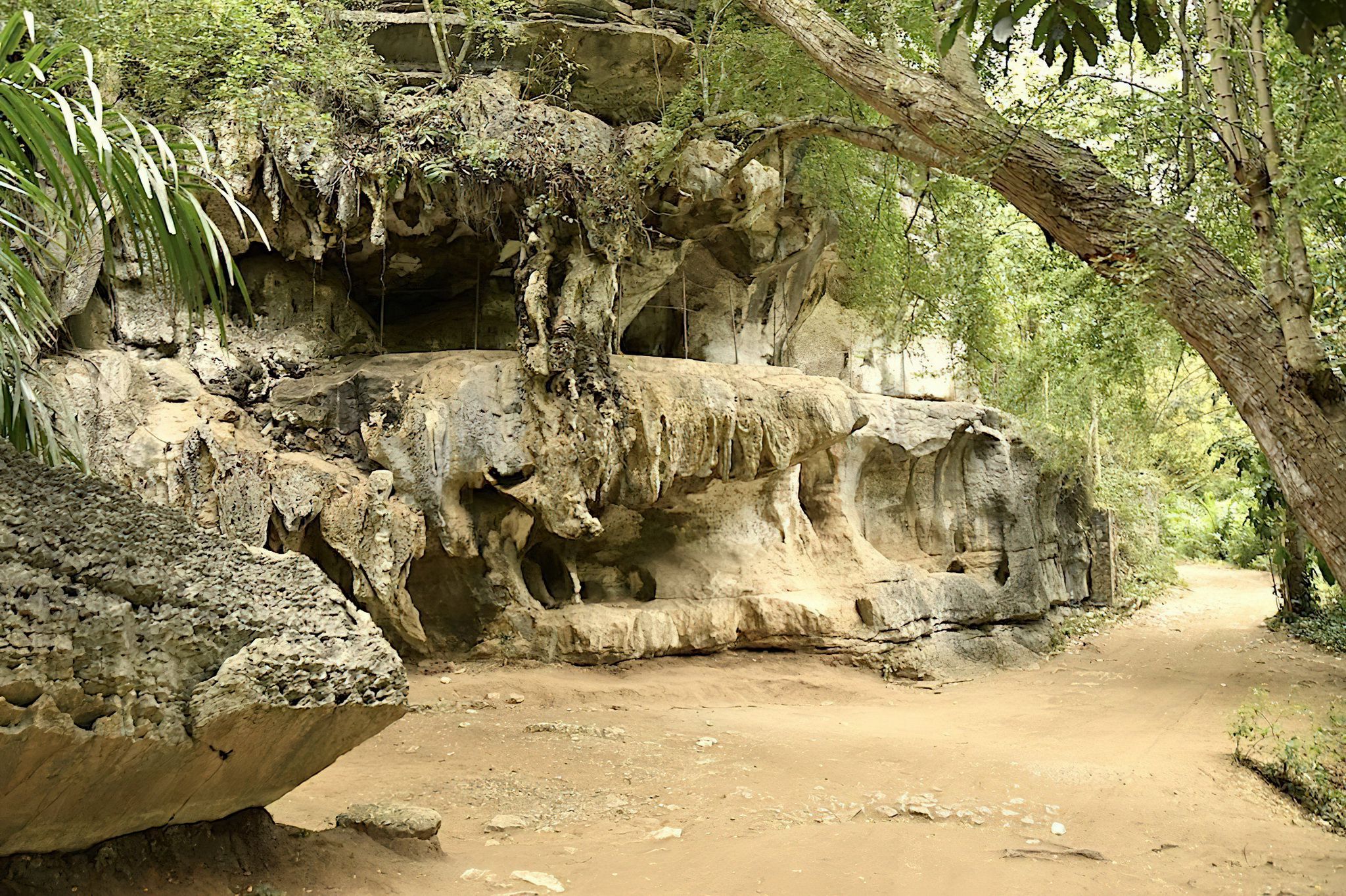 Amboni Caves landscape