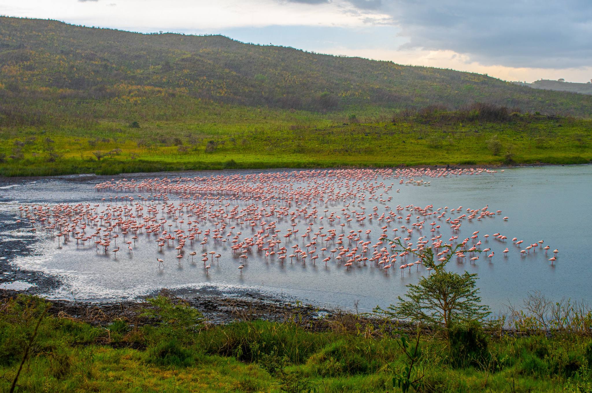Day Trip to Olmoti and Empakai Crater in Ngorongoro Highlands