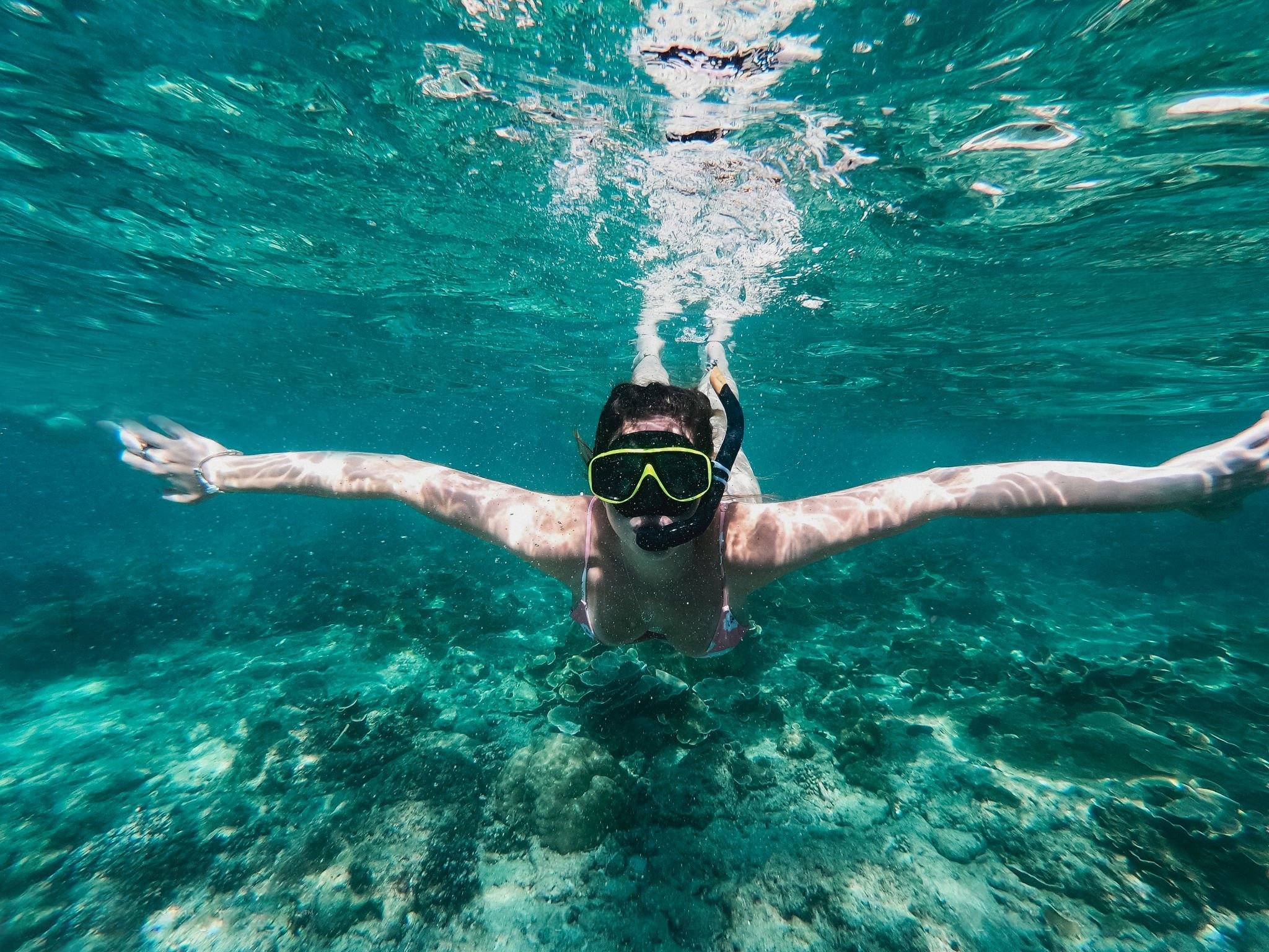 Chole Bay Snorkelling, Mafia Island