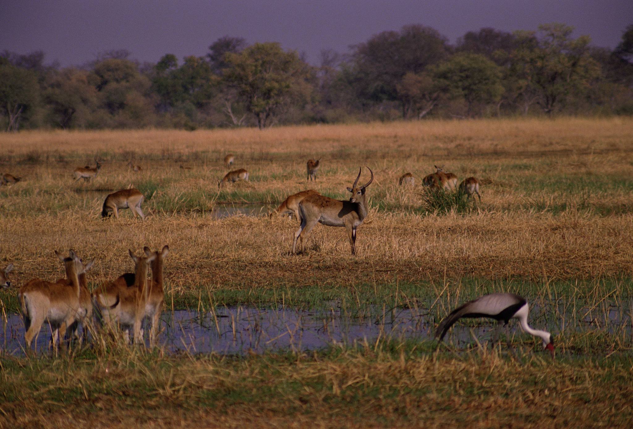Ibanda-Kyerwa National Park landscape