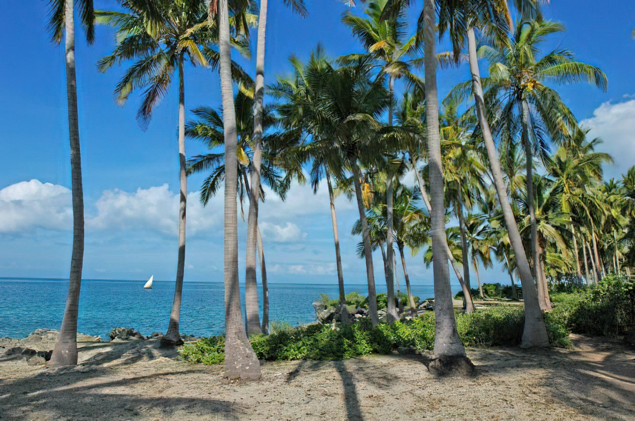 Jibondo Island