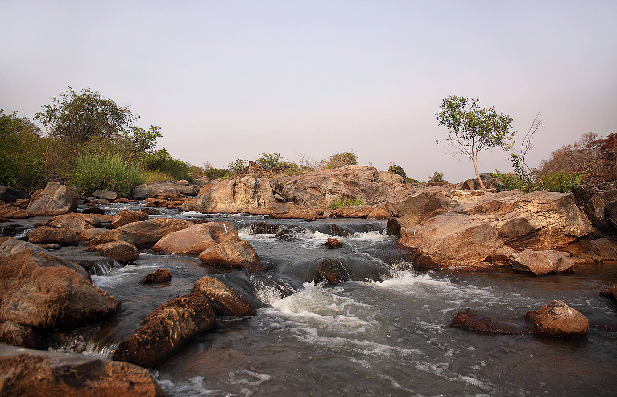 6 Days Katavi Wilderness Safari