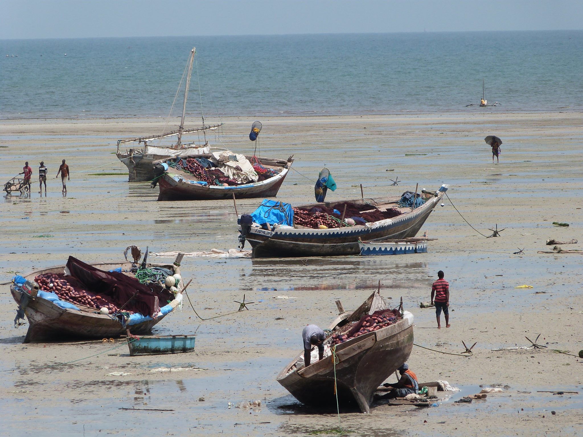 Kilwa Kivinje landscape