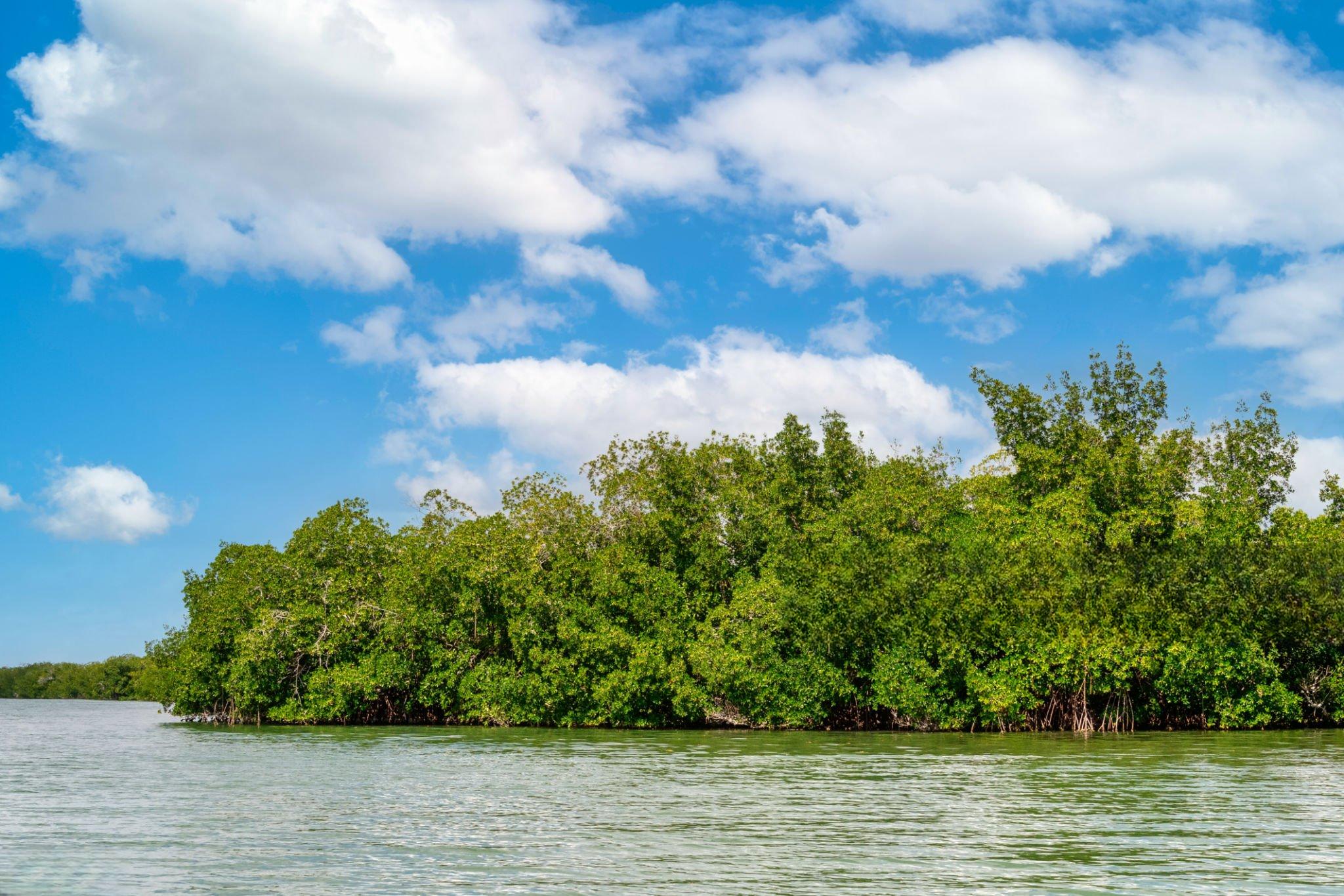 Kirui Island Marine Reserve