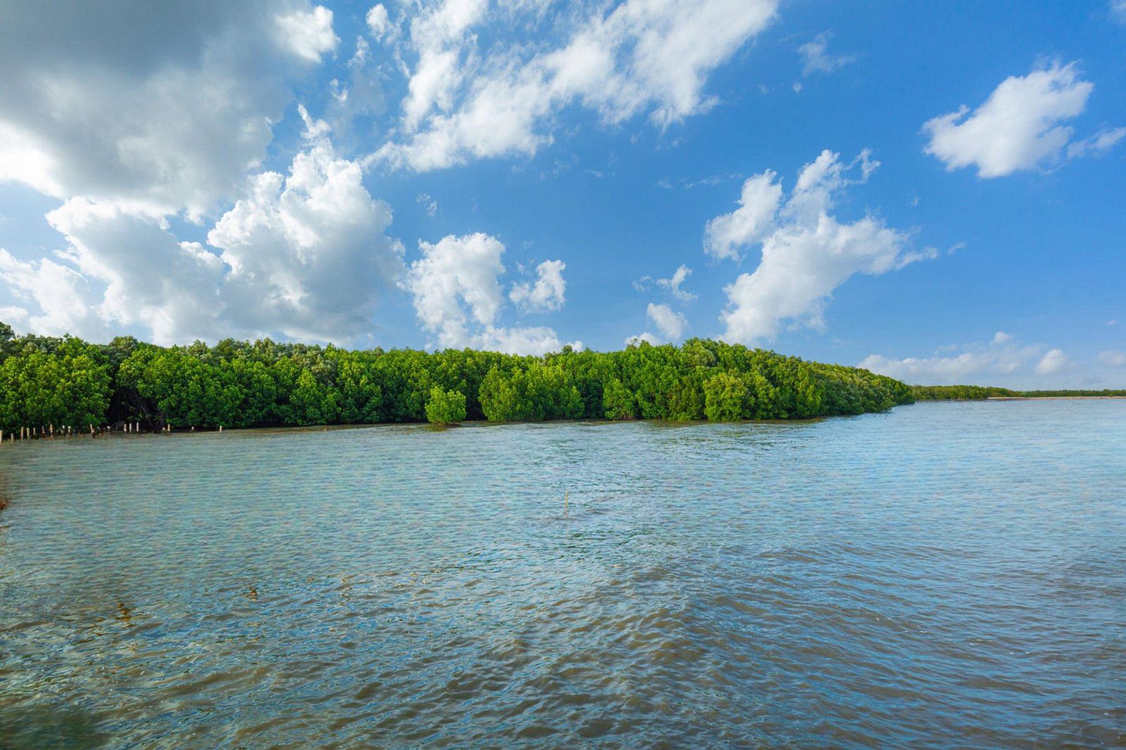 Kwale Island Marine Reserve landscape