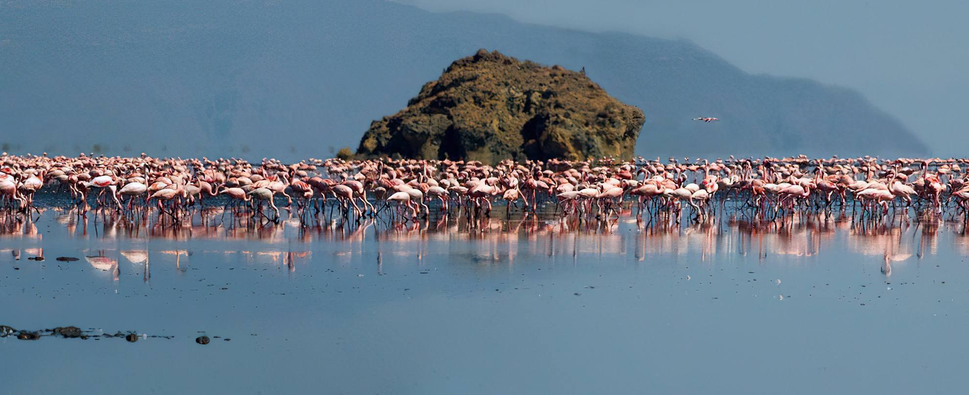 Lake Natron landscape