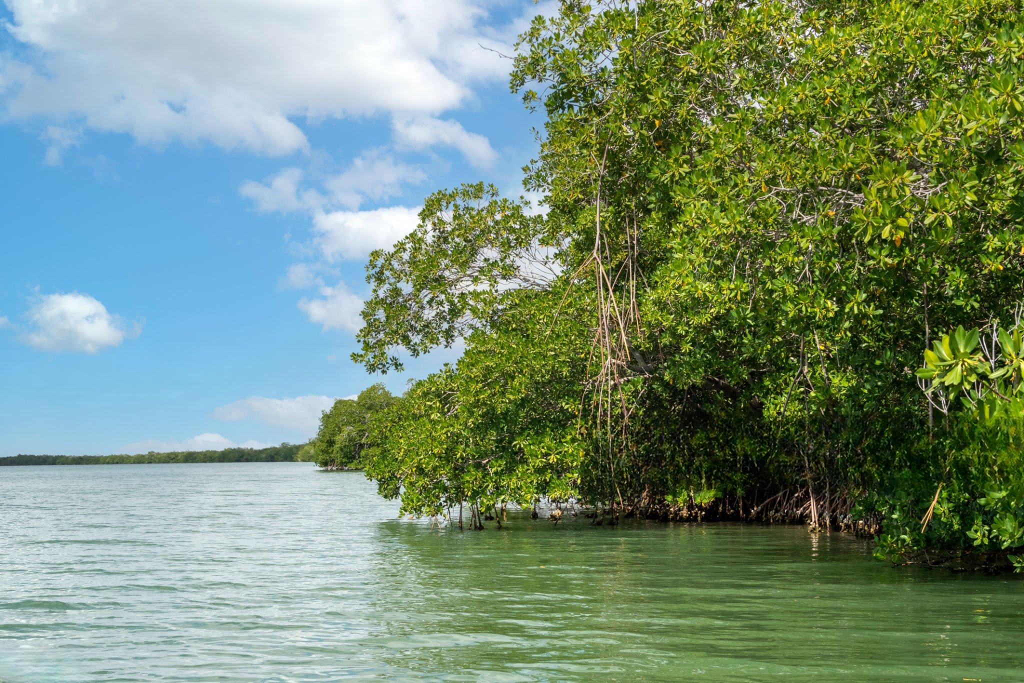 Mwewe Island Marine Reserve