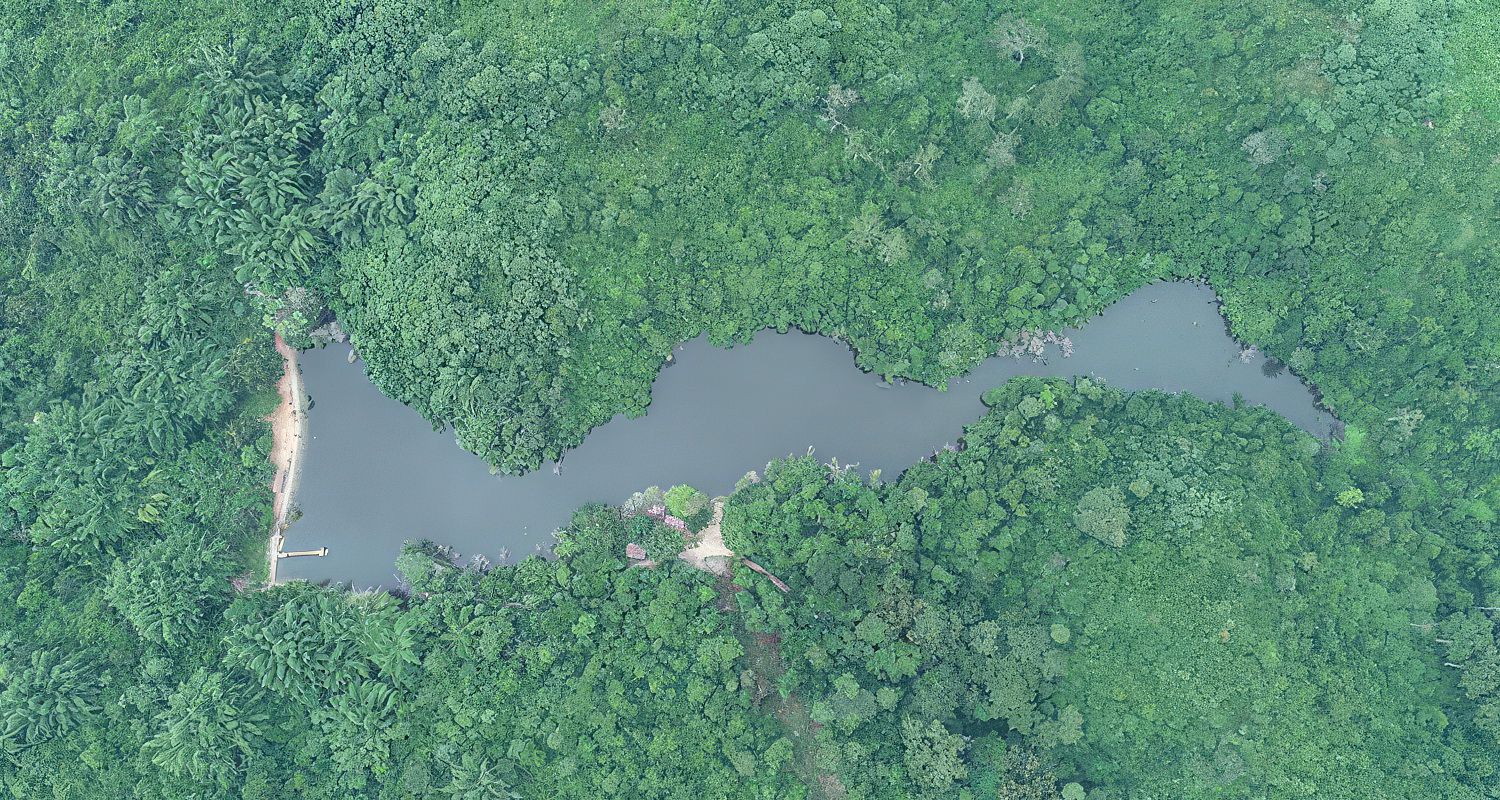 Pugu Kazimzumbwi Nature Forest Reserve