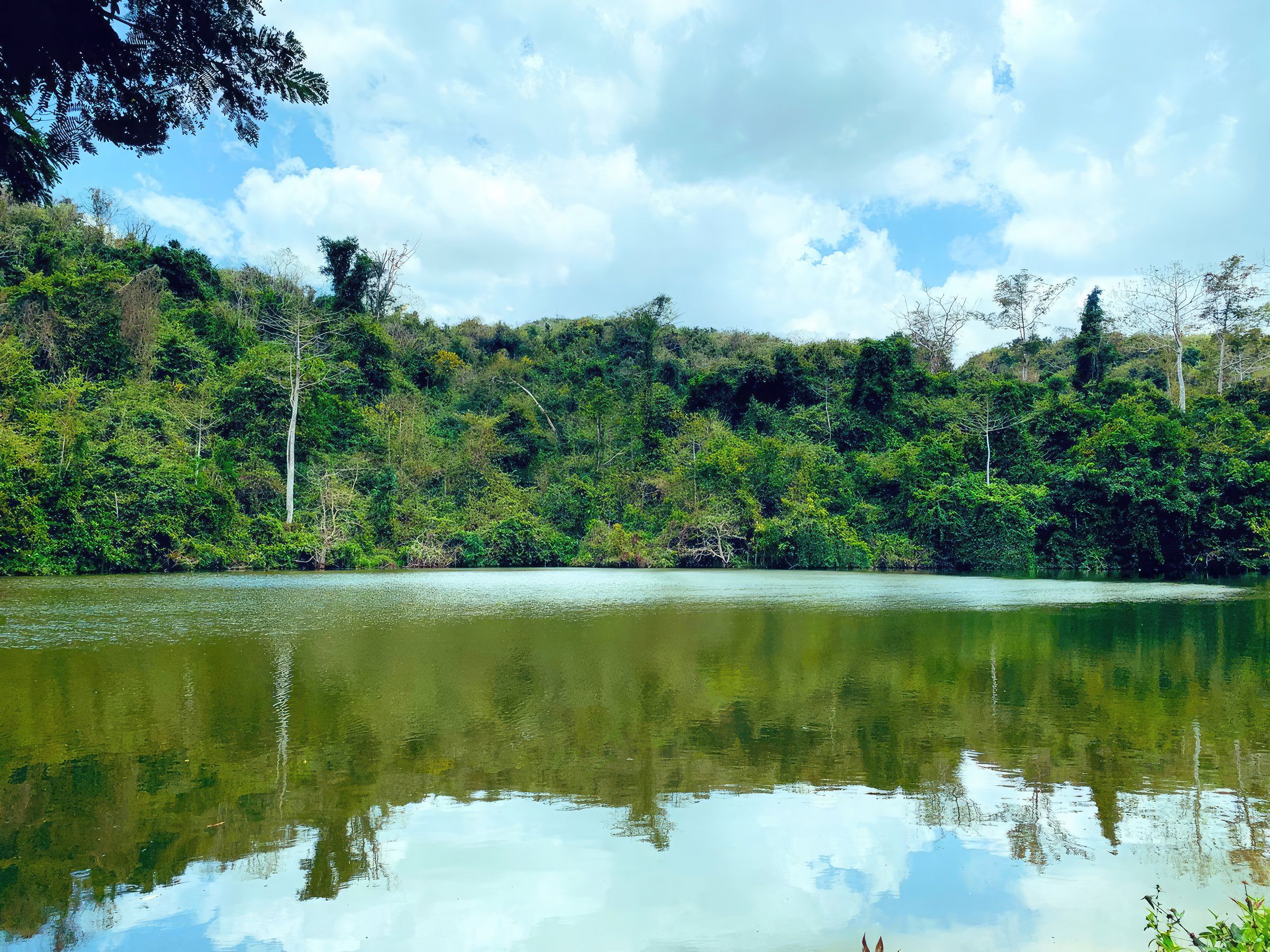 Pugu Kazimzumbwi Nature Forest Reserve landscape