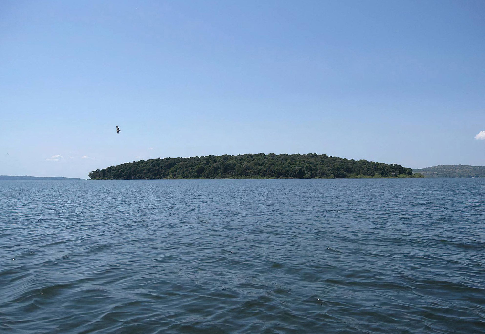 Rubondo Island National Park
