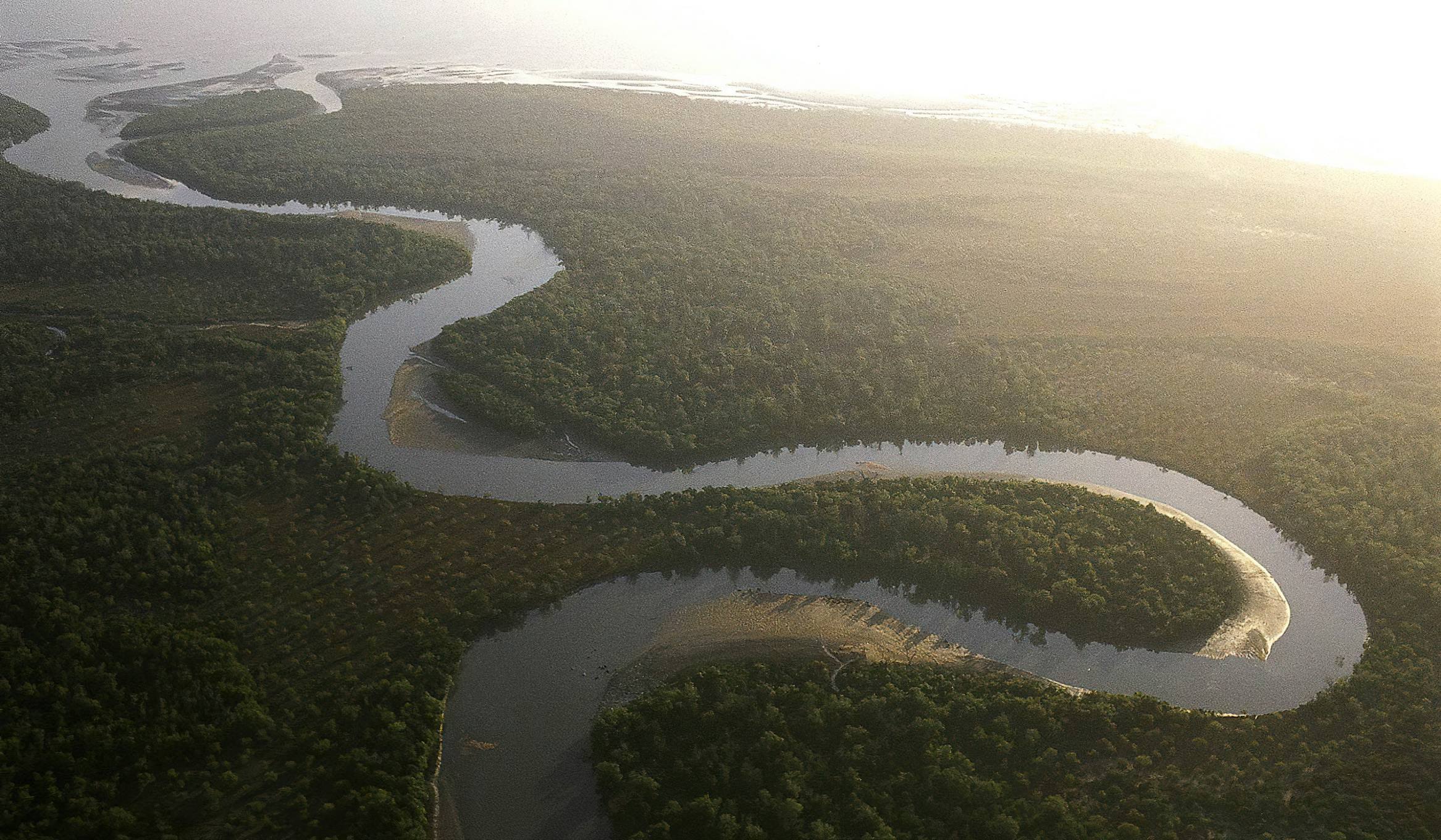 Saadani National Park landscape