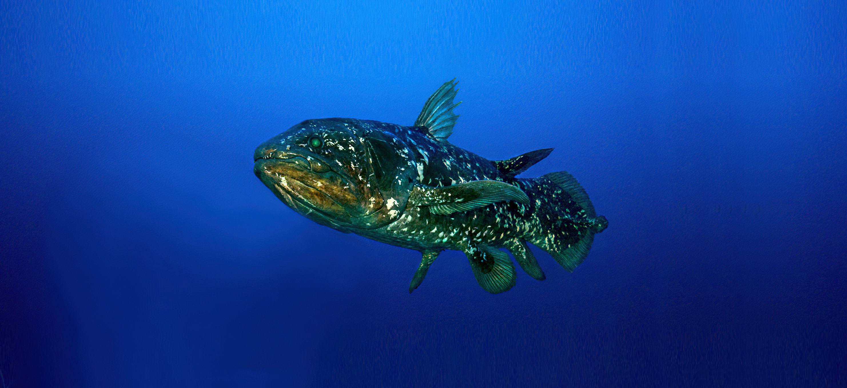 Tanga Marine Park & Reserves landscape
