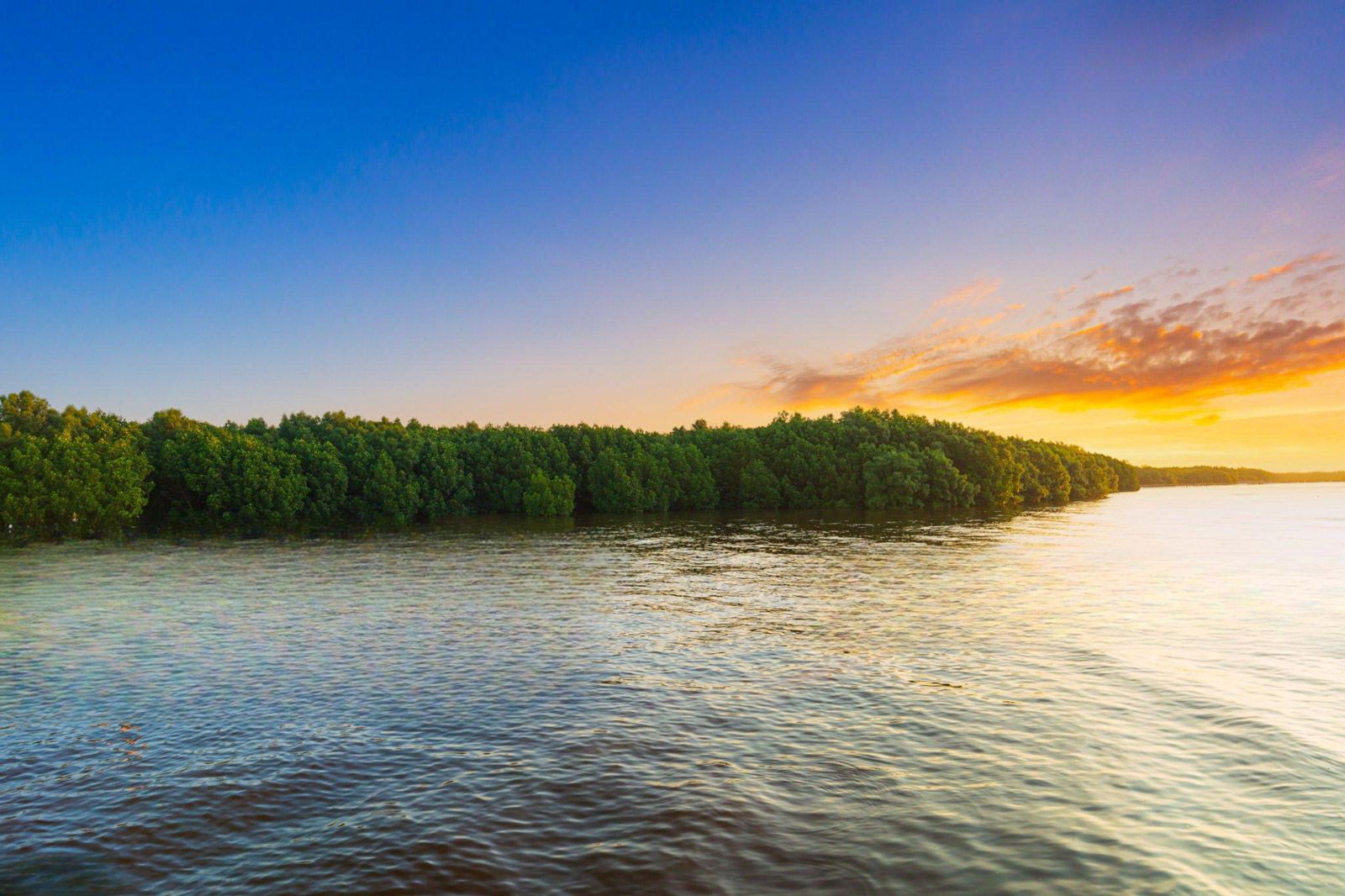 Ulenge Island Marine Reserve landscape