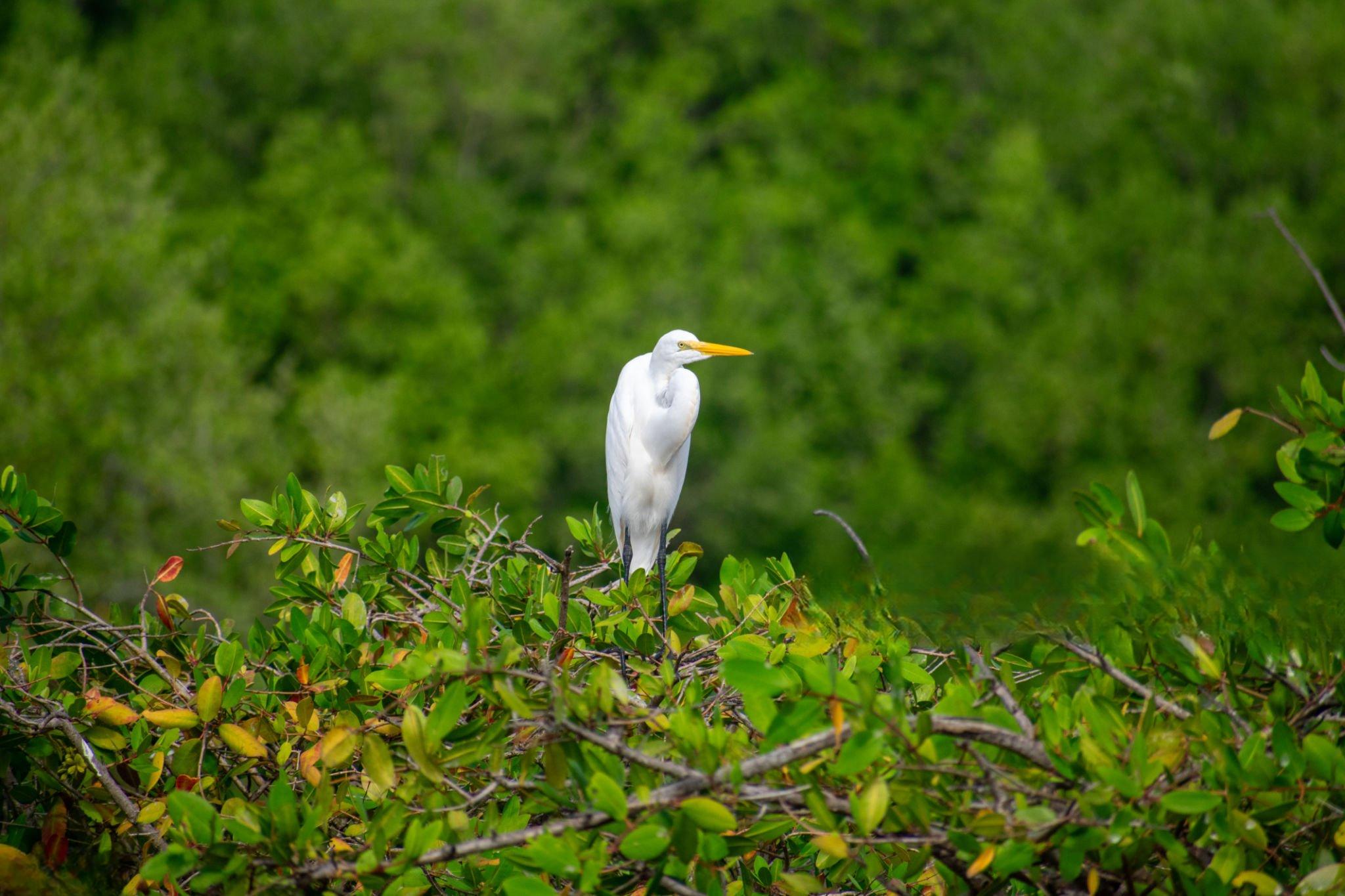 Ulenge Island Marine Reserve landscape