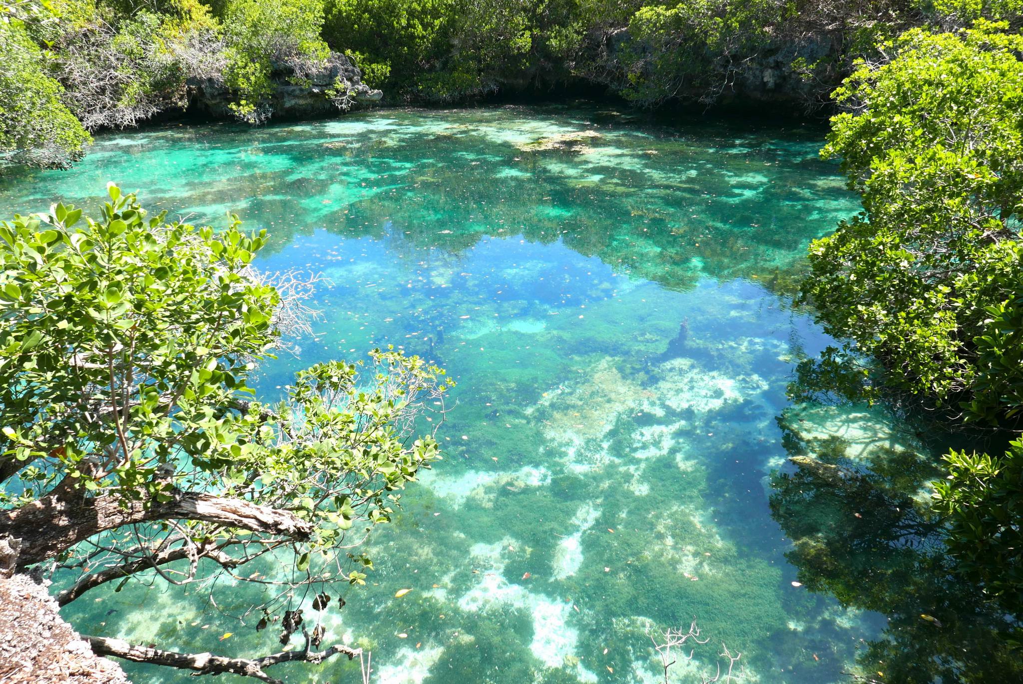 Visit to Hidden Lagoon, Mafia Island