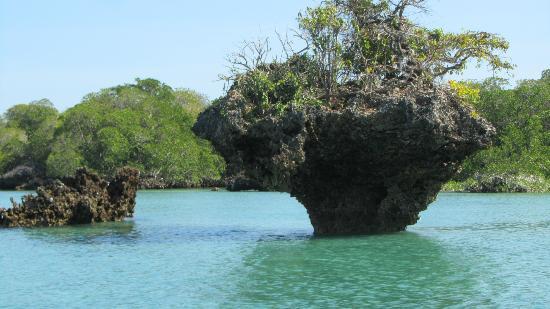 Yambe Island landscape