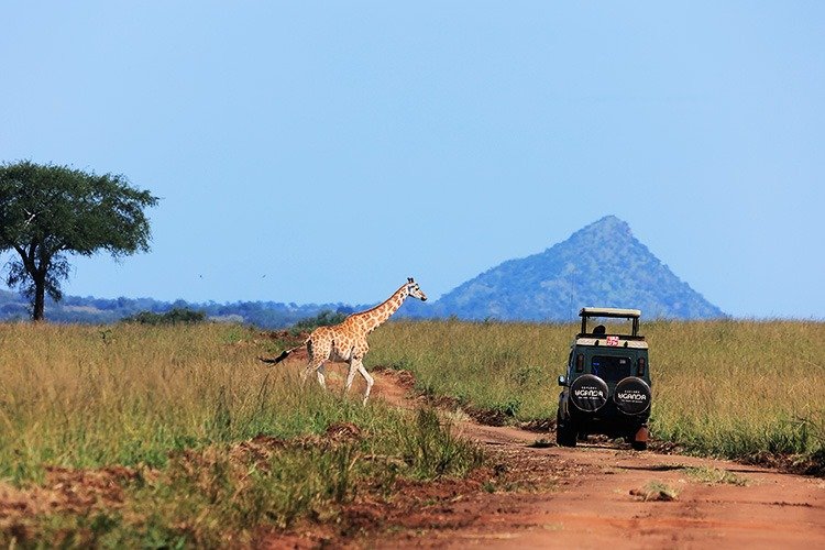 Kidepo Valley National Park