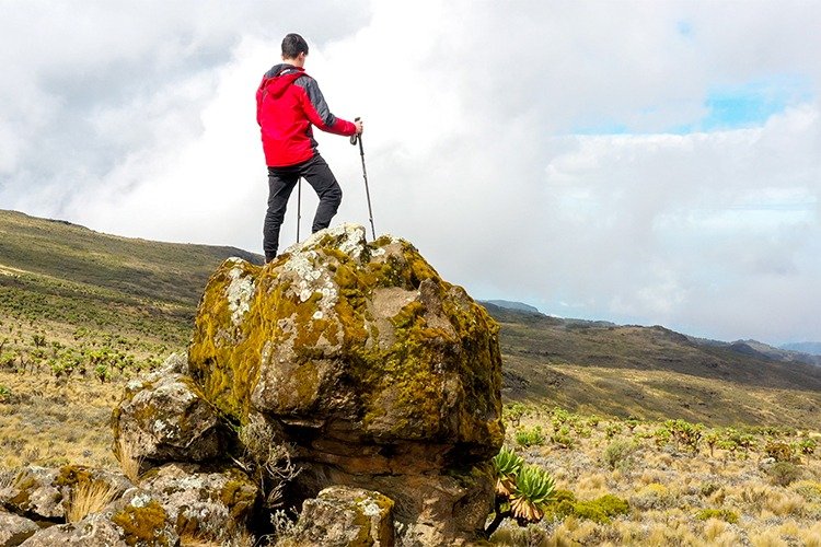 Mount Elgon National Park landscape