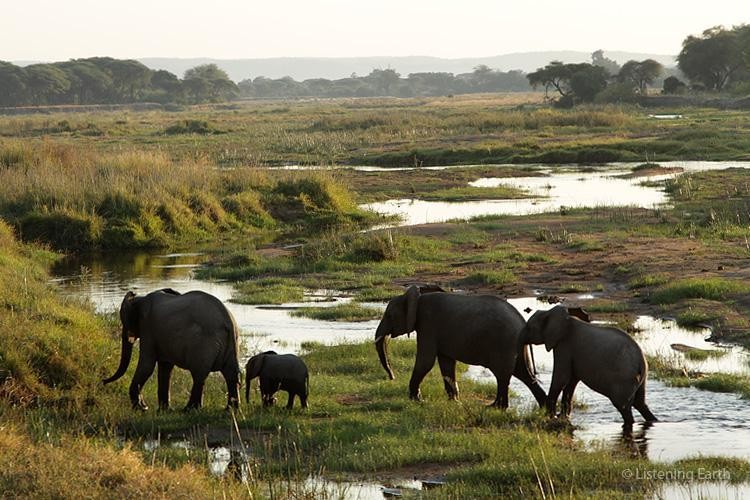 Southern Tanzania Explorer