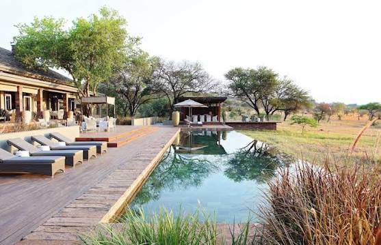 Singita