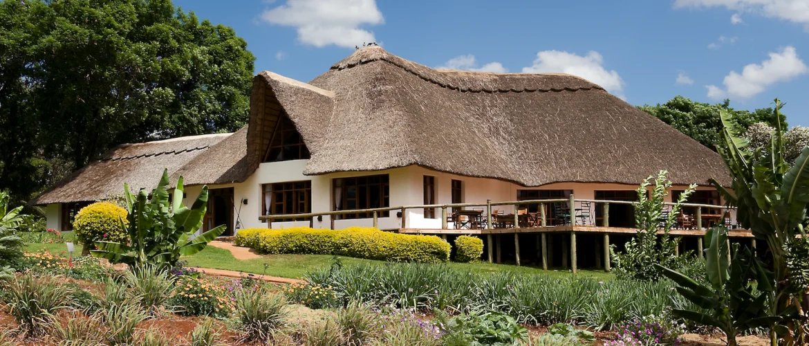 Luxury lodge overlooking the savanna
