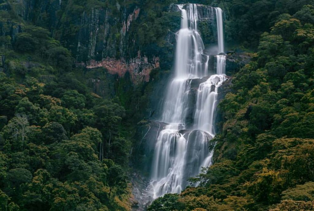 Udzungwa Mountains National Park